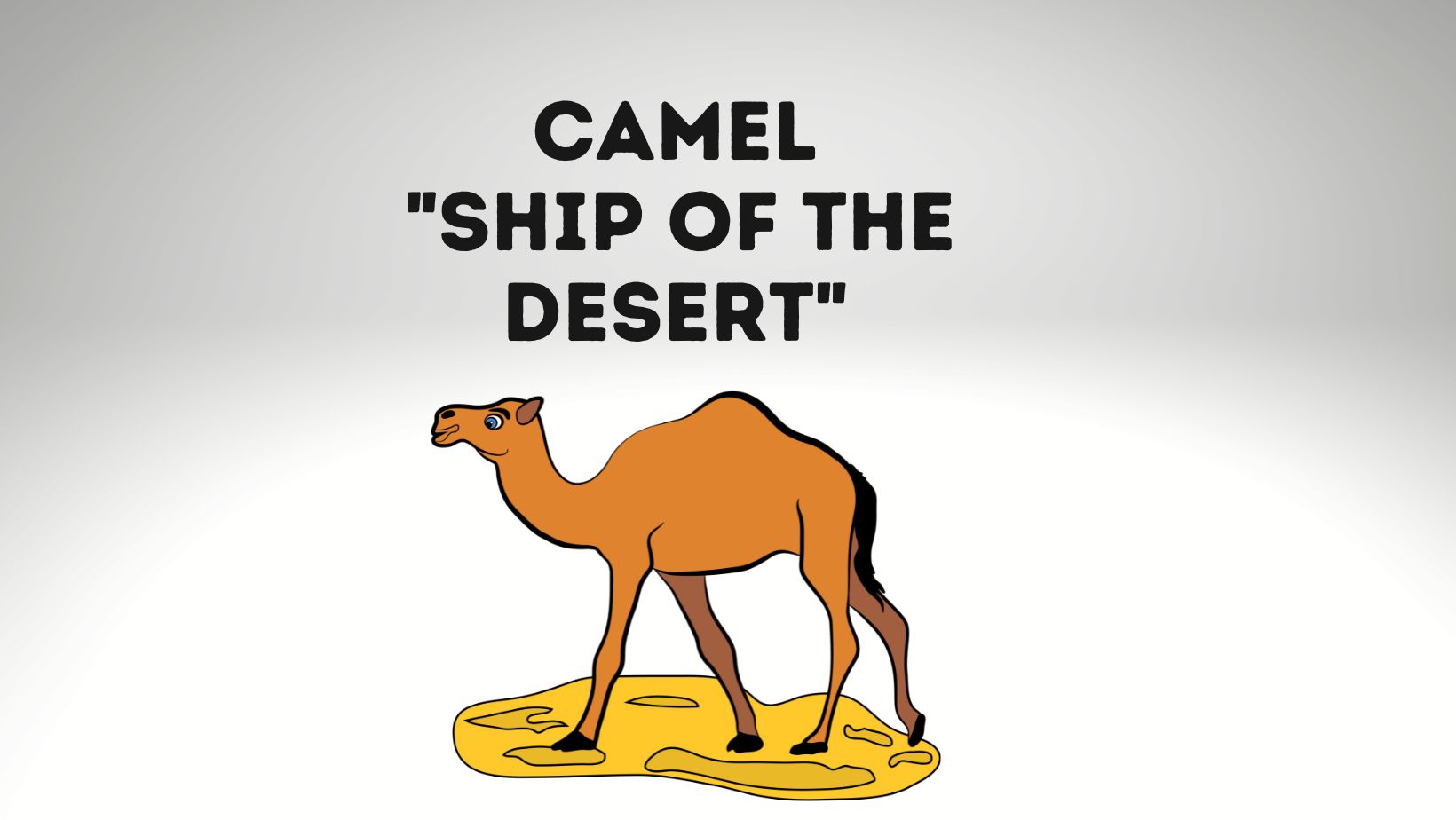 Camel, the Ship of the Desert