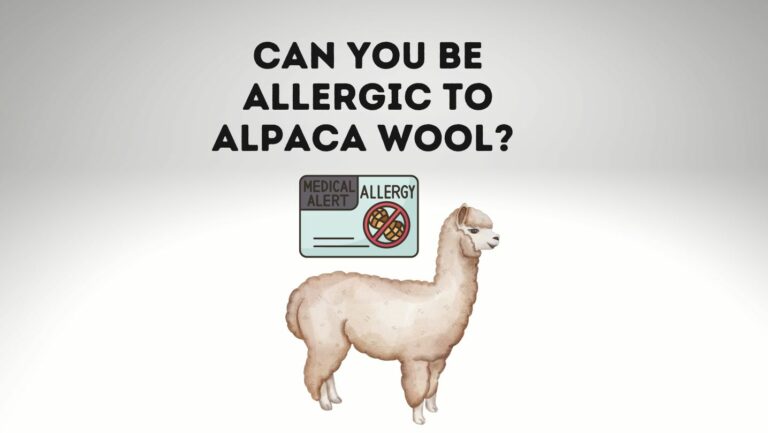 Can You Be Allergic To Alpaca Wool? (Symptoms and Tips)