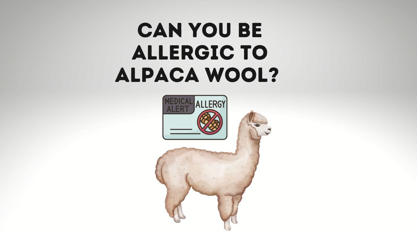 Can You Be Allergic To Alpaca Wool (Symptoms and Tips)