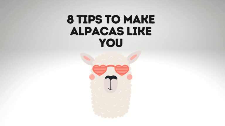 How To Make Alpacas Like You? [8 Amazing Tips] 