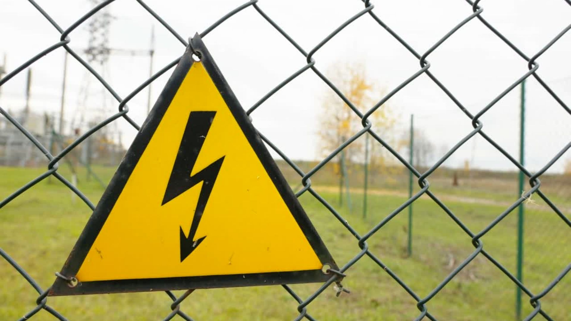 Can You Use Electric Fence With Camelids? LLama 