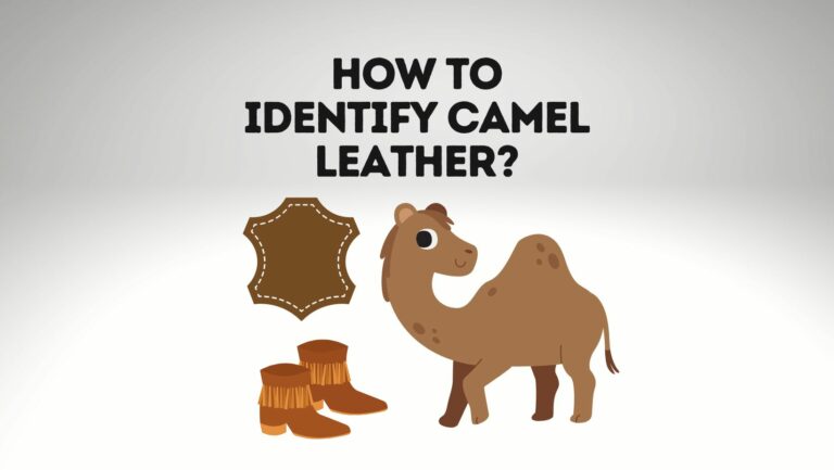 How To Identify Camel Leather? 3 Easy Ways