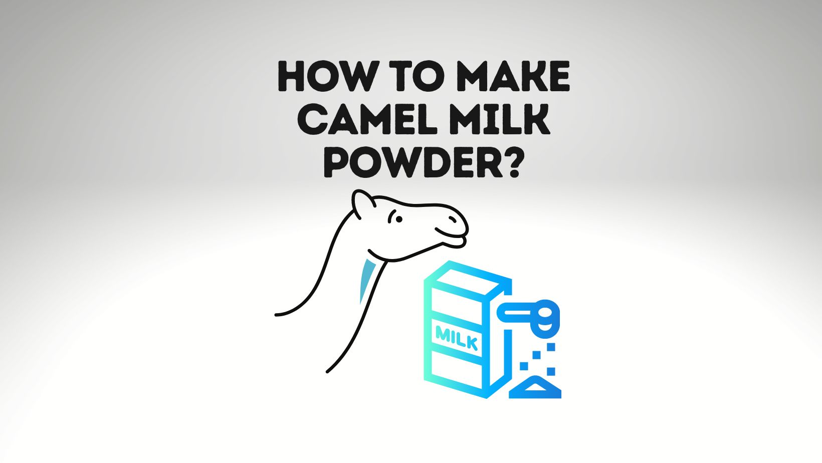 How To Make Camel Milk Powder