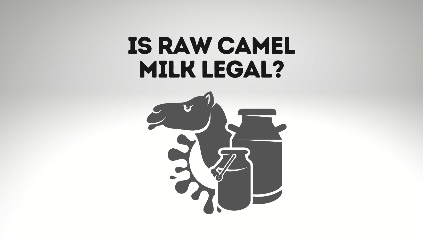 Raw Camel Milk [Legality, the FDA and Regulations]