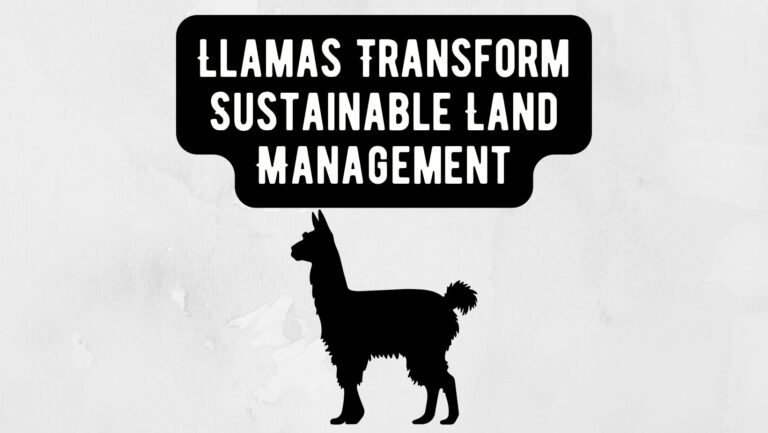 Llamas Transform Sustainable Land Management