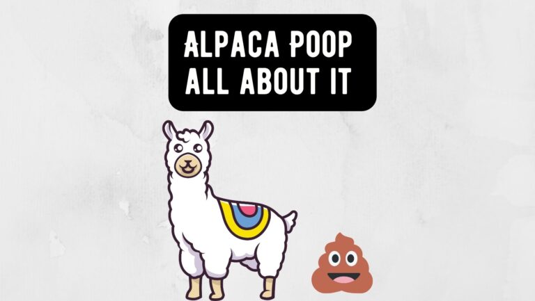 Alpaca Poop – Collection, Storage, Handling and More