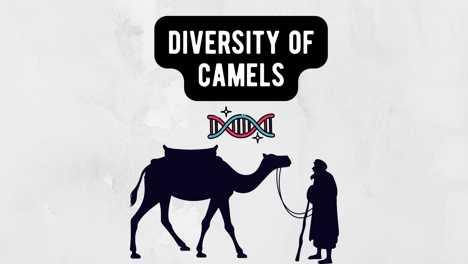 The Diversity of Camels: A Guide to Camel Types