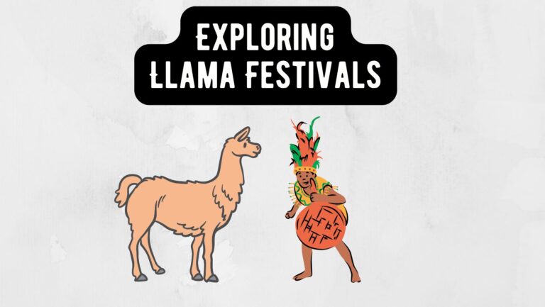 Excitement of Llama Festivals