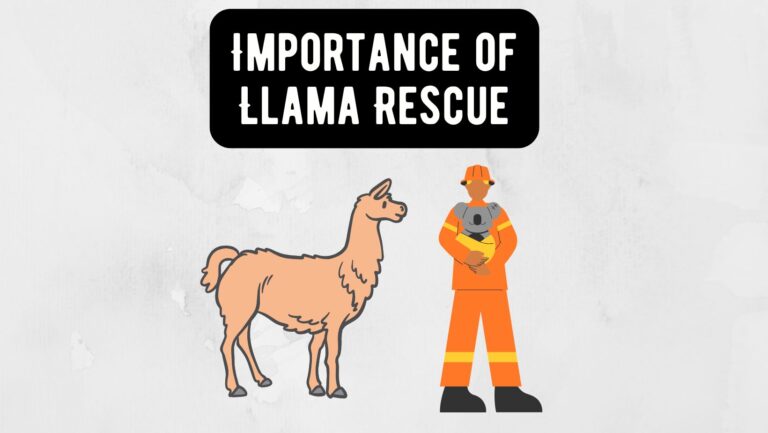 Importance of Llama Rescue