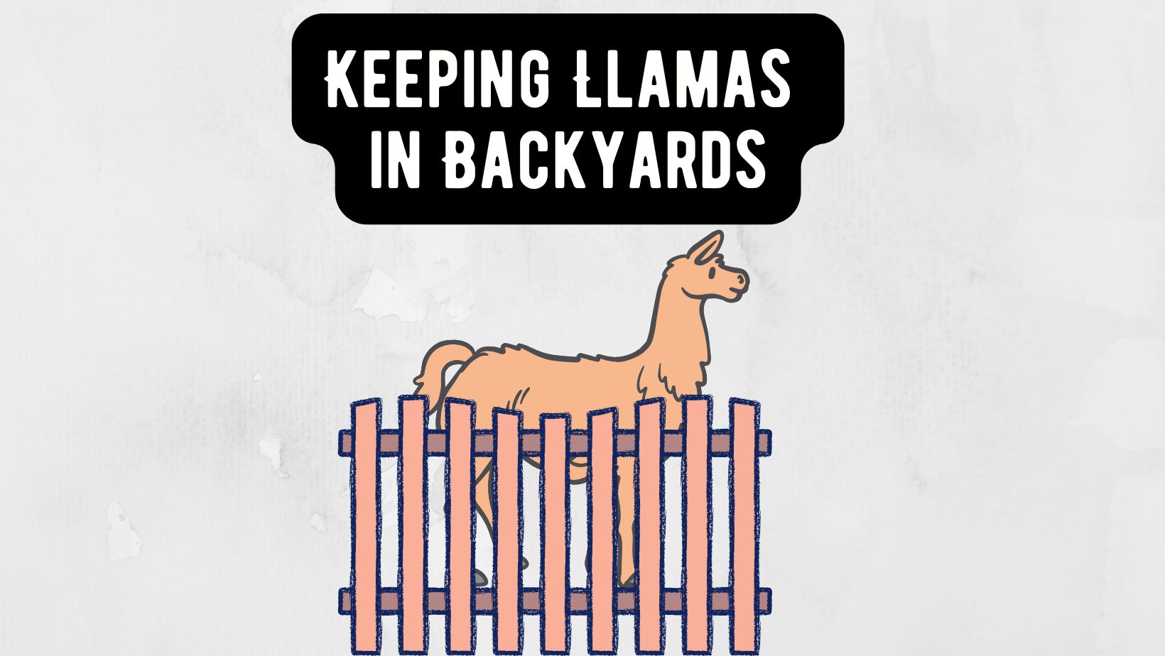 Keeping Llamas in Backyards