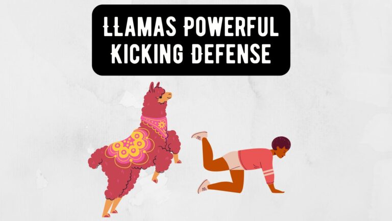 LLamas Powerful Kicking Defense