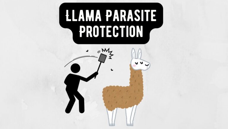 Llama Parasite Protection