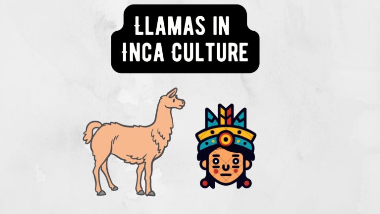 Llamas in Inca Culture