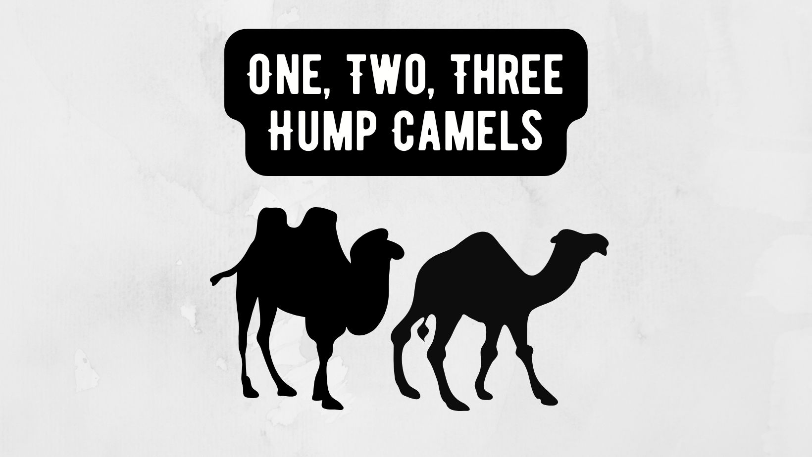 One Hump Vs Two-Hump Vs Three Hump Camel