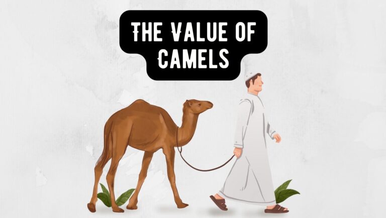 The Value of Camels: A Guide to Camel Prices Around the World