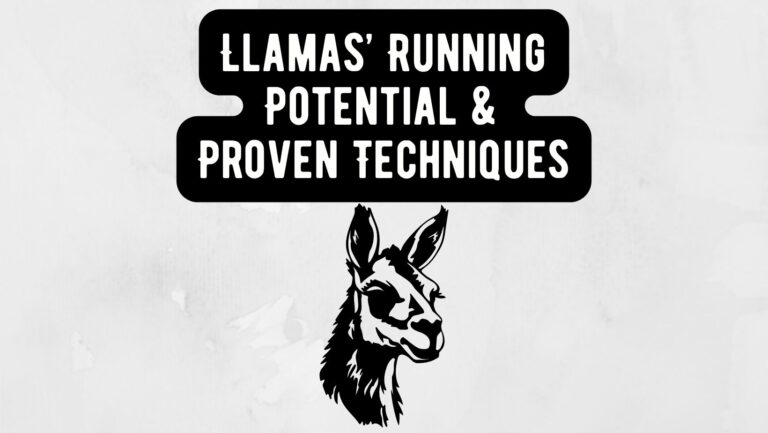 Llamas' Running Potential