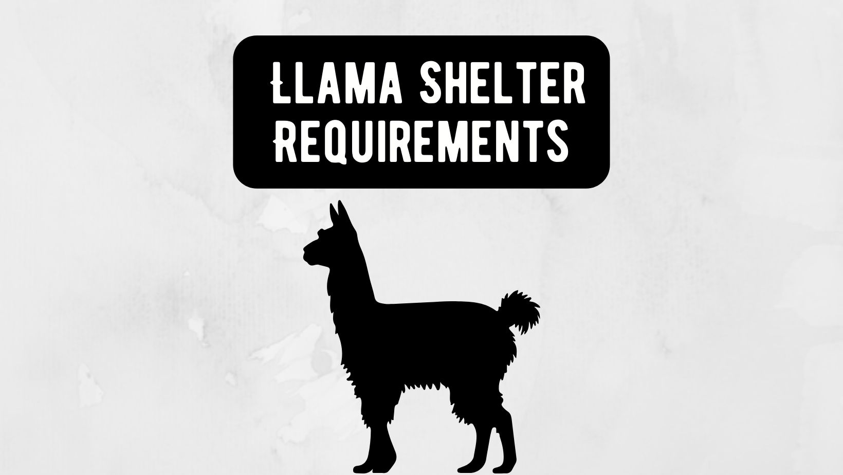 Llama Shelter Requirements