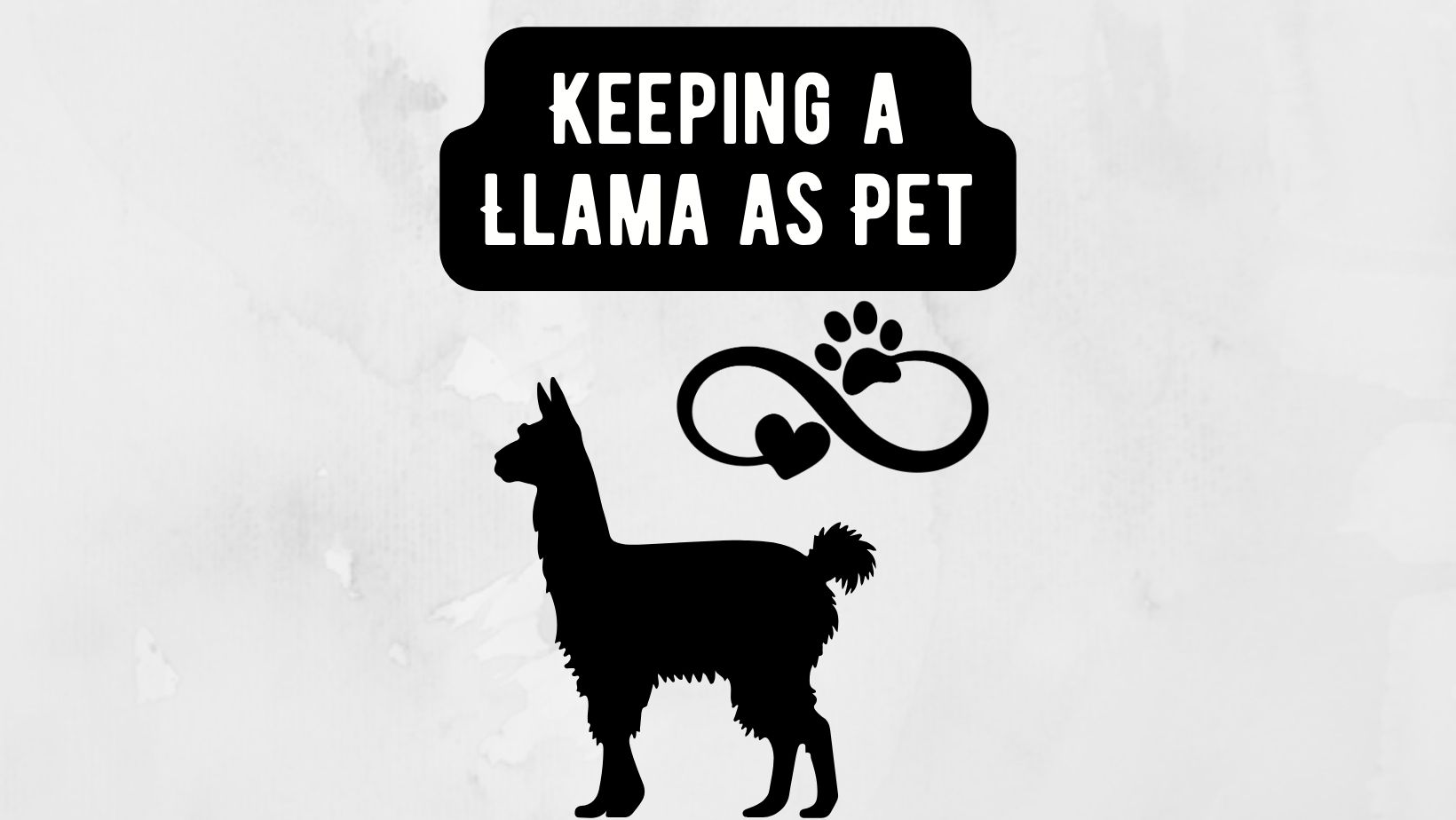 Keeping a Llama as a Pet