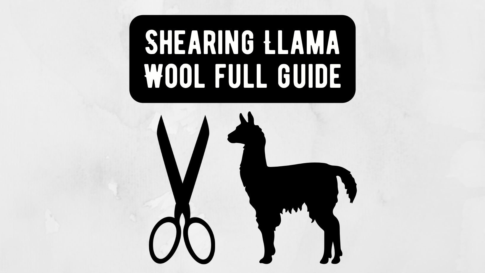 Guide to Shearing Llama