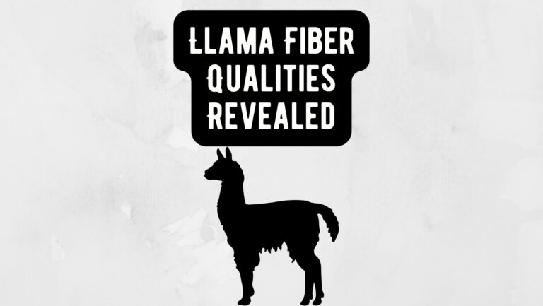 Llama Fiber