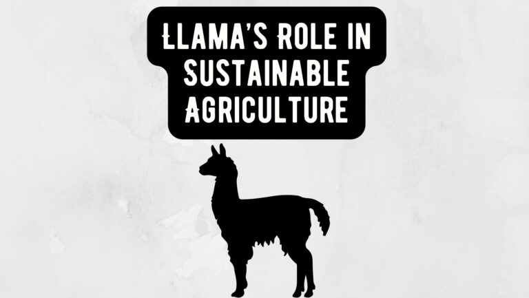 Llama's Role in Sustainable Agriculture