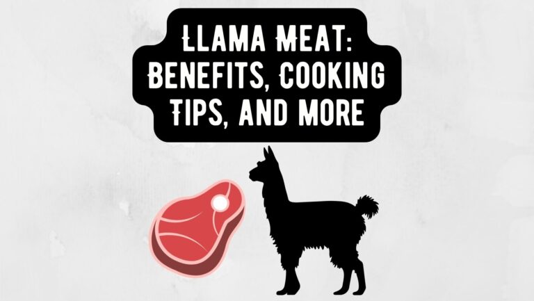 Llama Meat: Nutritional Benefits