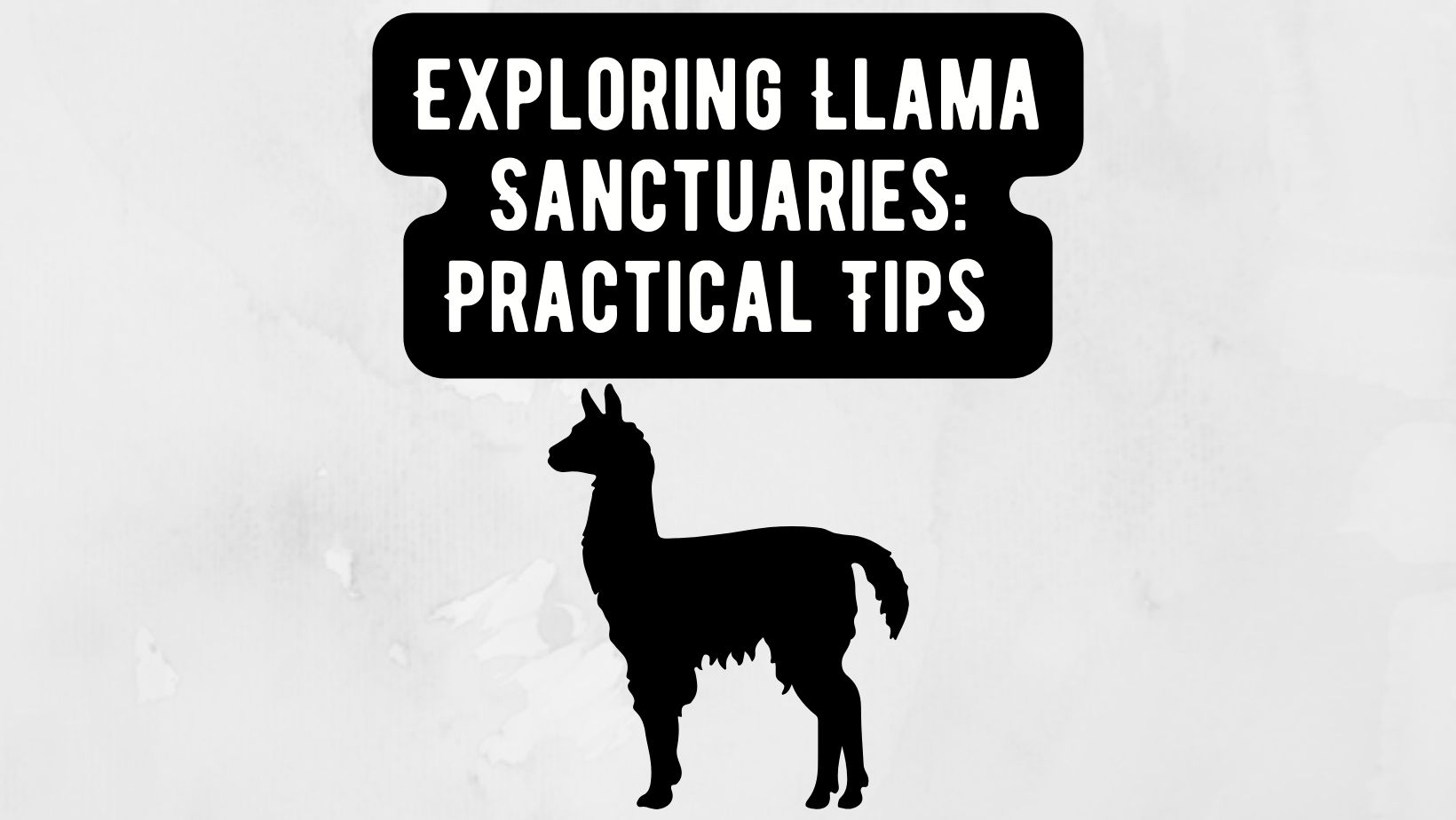 Llama Sanctuaries