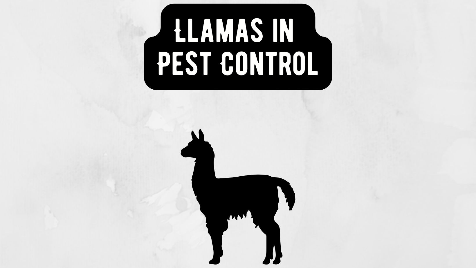 Llamas in Pest Control