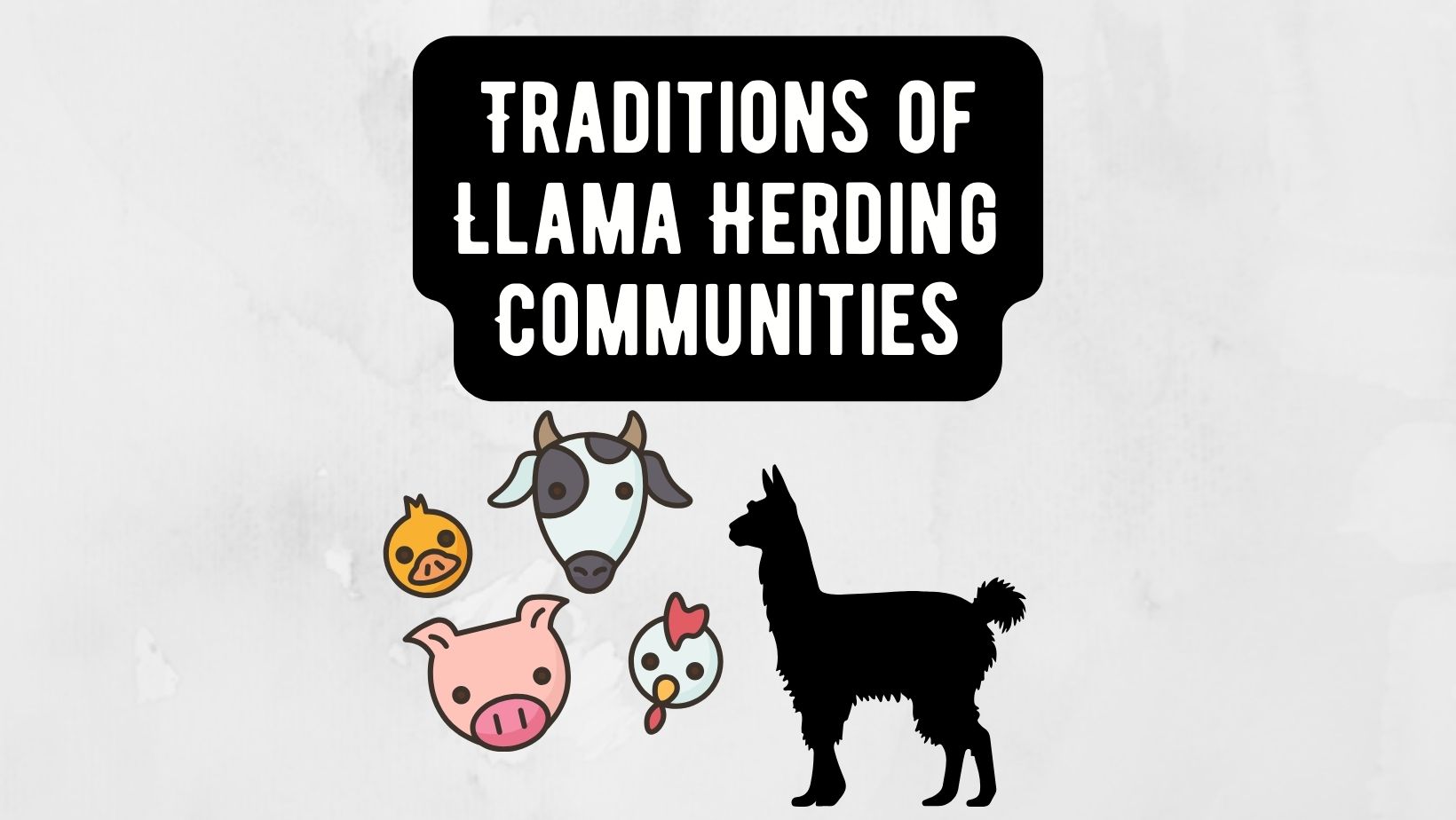 Traditions of Llama Herding