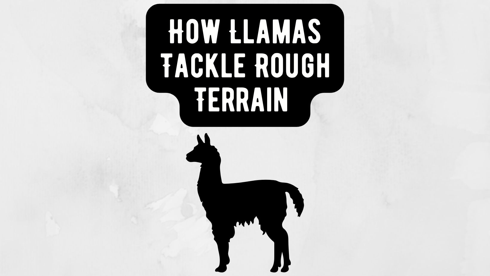 Llamas Tackle Rough Terrain