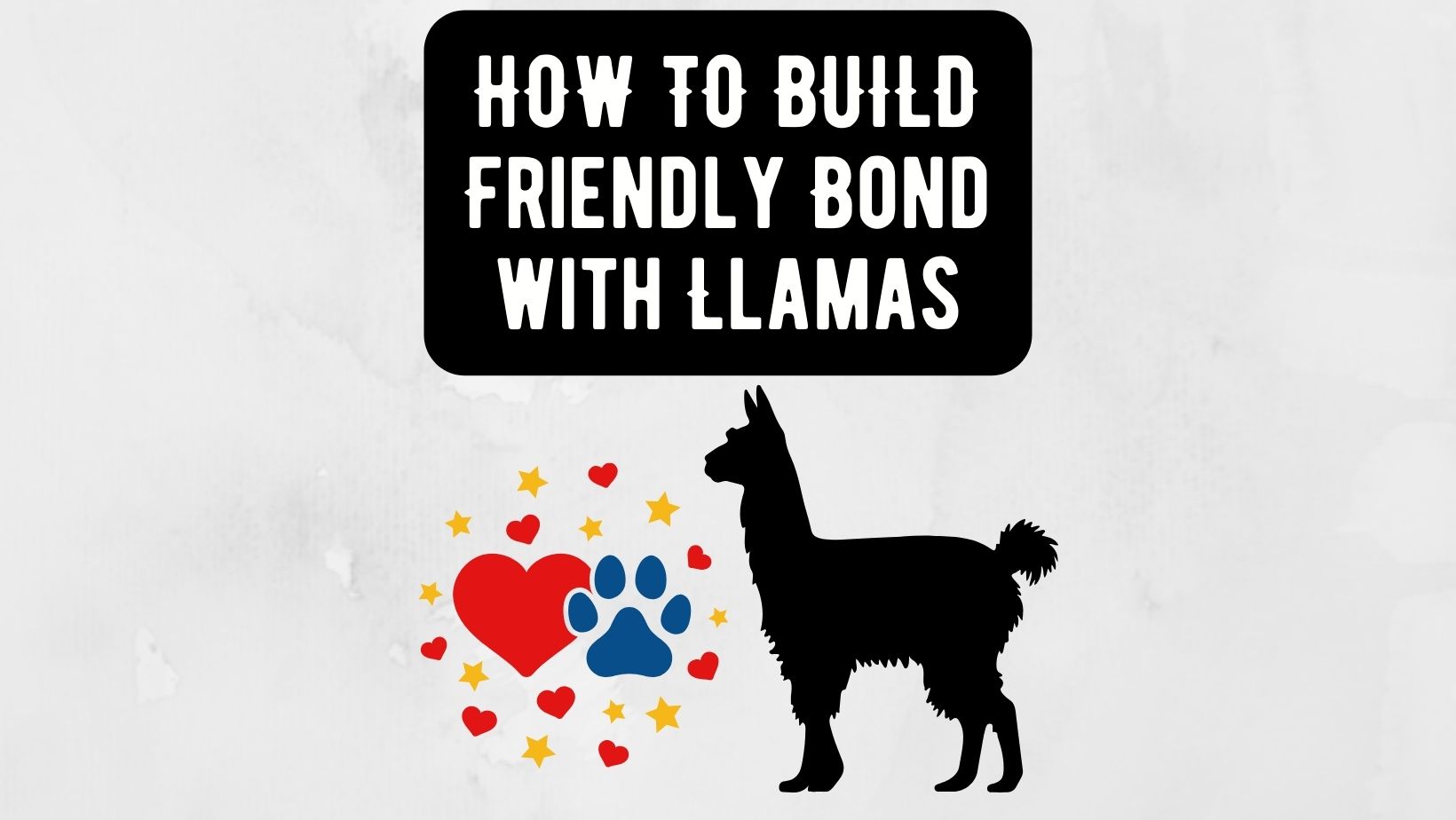 Bond with Llamas