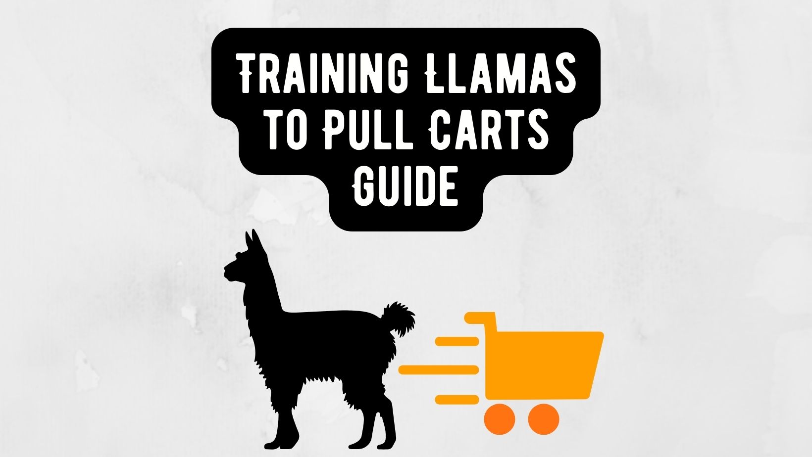 Training Llamas to Pull Carts