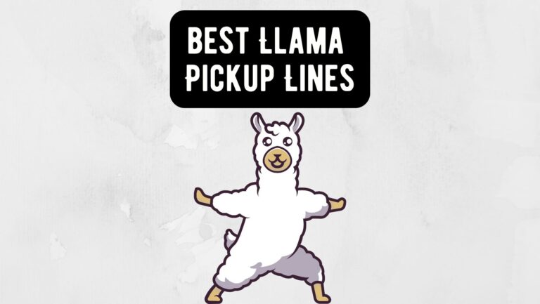 Llama Pickup Lines