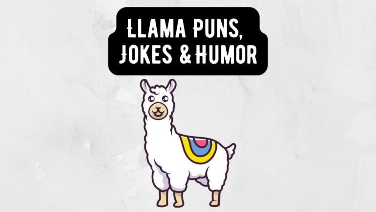 Llama Puns, Jokes and Humor